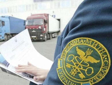 Лохина на 200 гектарах і 1 гривня доходу кандидат на голову митниці Денисовець забув задекларувати бізнес дружини