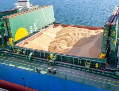 Морським коридором експортовано 100 млн тонн зерна – Кулеба