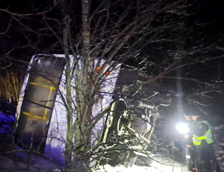 На Чернігівщині перекинувся автобус: 11 потерпілих