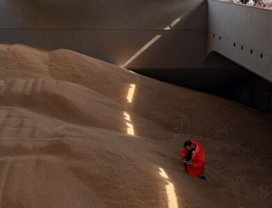 Польща пожалілася в Раду ЄС на агроімпорт з України – ЗМІ