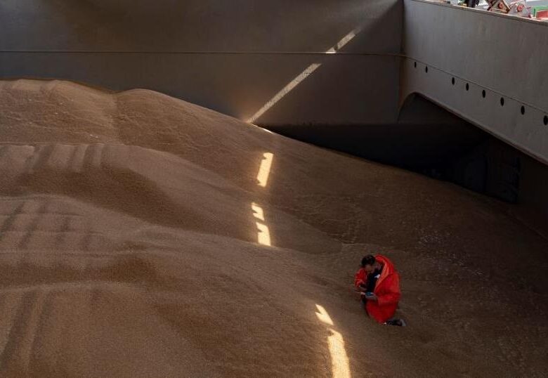 Польща пожалілася в Раду ЄС на агроімпорт з України – ЗМІ