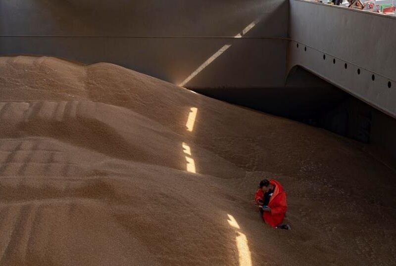 Польща пожалілися в Раду ЄС на агроімпорт з України – ЗМІ