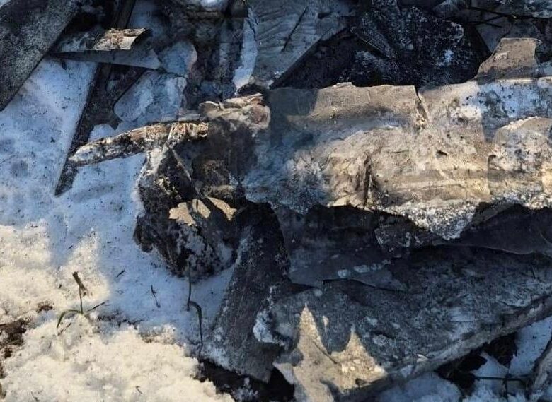 Стало відомо, скільки цілей знешкодили сили ППО