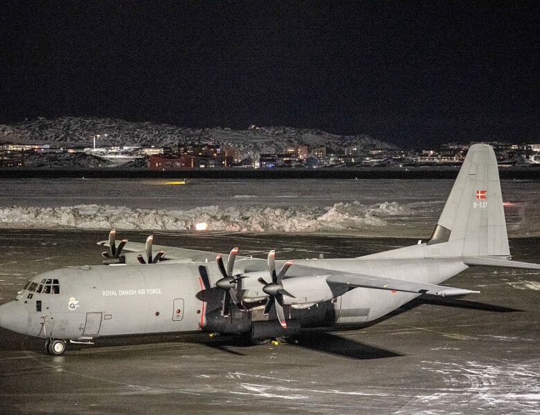 Цілий взвод. “Потужна” армія Європи в Гренландії