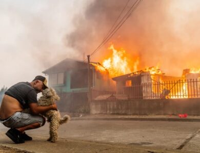 У Чилі оголошено НС через пожежі, є загиблі та руйнування