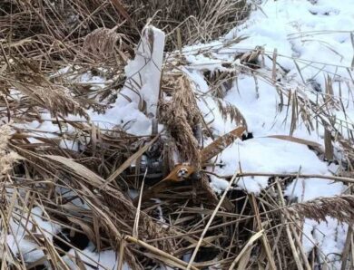 У Молдові мисливець знайшов російський дрон