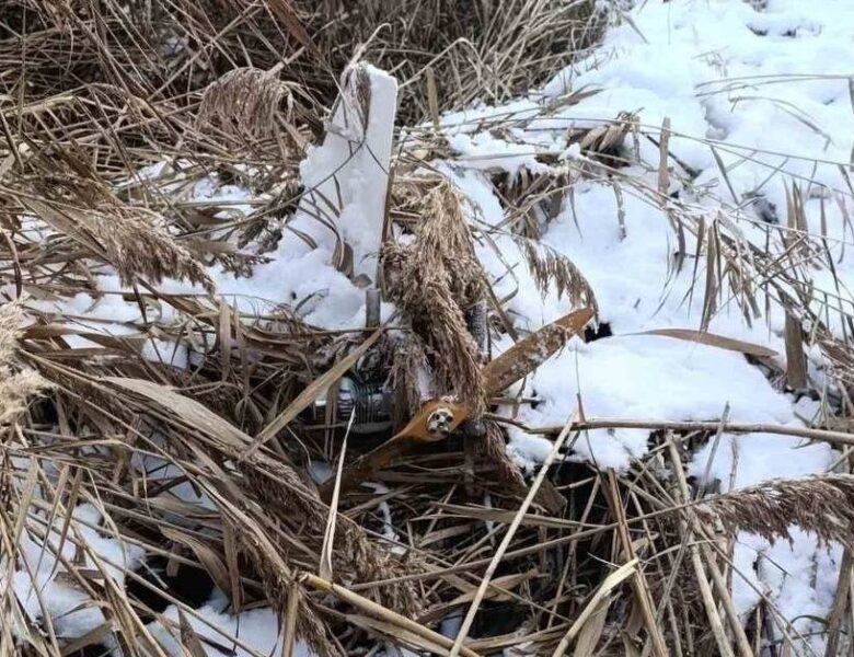 У Молдові мисливець знайшов російський дрон