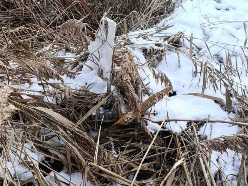 У Молдові мисливець знайшов російський дрон