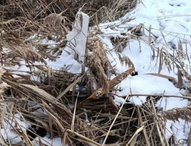 У Молдові відреагували на виявлення російського дрона