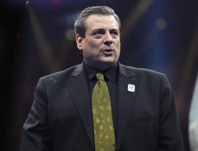 У WBC дали оцінку шансам Ф&rsquo;юрі та Махмудова