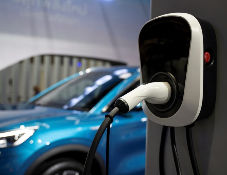 Український ринок електромобілів зріс удвічі за рік