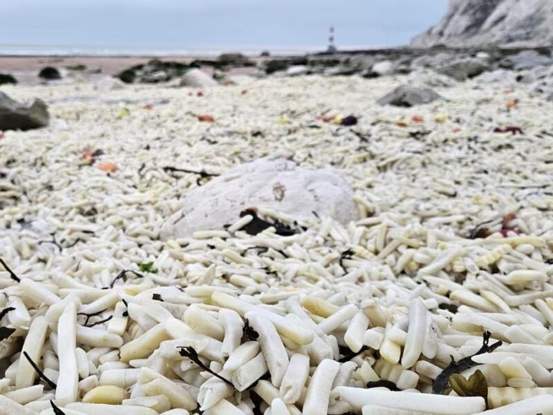 В Англії на узбережжя викинуло тонни картоплі фрі та цибулі