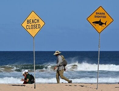 В Австралыъ 12-річний хлопчик помер після нападу акули