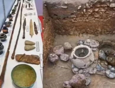 В Індії знайшли списи залізної доби. Це може переписати історію металургії