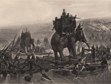 Вчені вперше знайшли фізичні докази використання бойових слонів у Європі