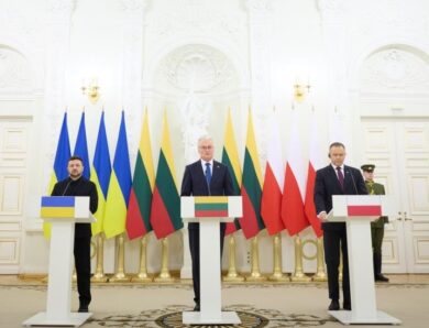 Зеленський назвав ключові теми переговорів у Литві