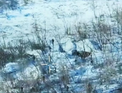 Біля Покровська рій FPV‑дронів ЗСУ врятував військових від полону