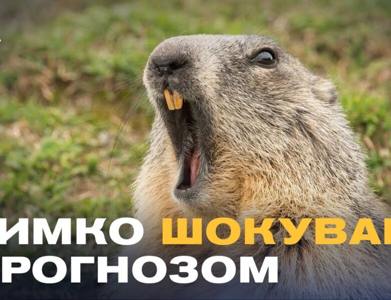 Бабак Тимко зробив прогноз: скільки ще триватиме зима?