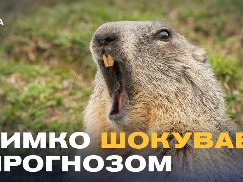 Бабак Тимко зробив прогноз: скільки ще триватиме зима?