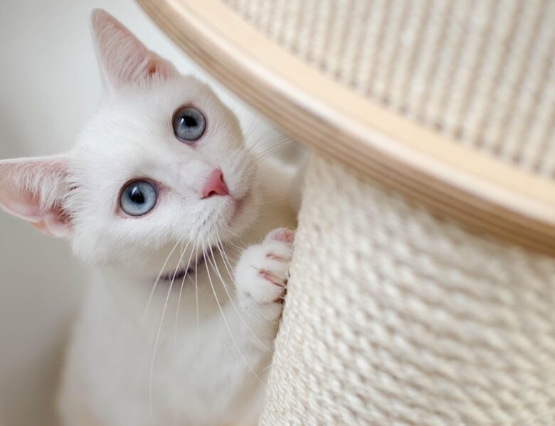 Гороскоп для всіх знаків зодіаку на 17 лютого 2026 року