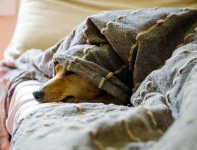 Гороскоп для всіх знаків зодіаку на 18 лютого 2026 року