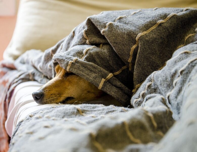 Гороскоп для всіх знаків зодіаку на 18 лютого 2026 року