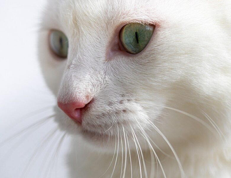 Гороскоп для всіх знаків зодіаку на 19 лютого 2026 року