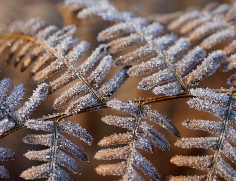 Гороскоп для всіх знаків зодіаку на 20 лютого 2026 року