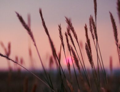 Гороскоп для всіх знаків зодіаку на 24 лютого 2026 року