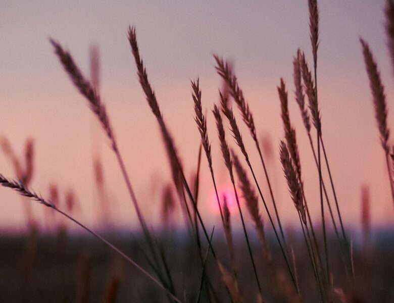 Гороскоп для всіх знаків зодіаку на 24 лютого 2026 року