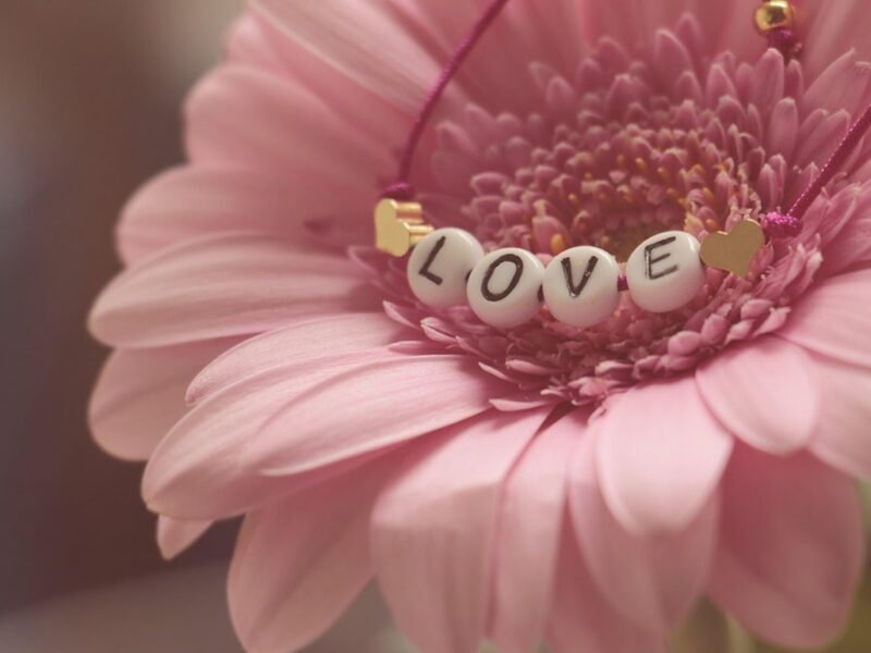 Гороскоп для всіх знаків зодіаку на вихідні 14-15 лютого 2026 року