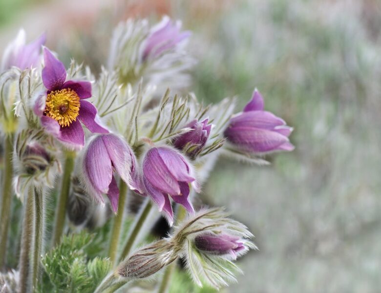 Гороскоп для всіх знаків зодіаку на вихідні 28 лютого &ndash; 1 березня 2026 року