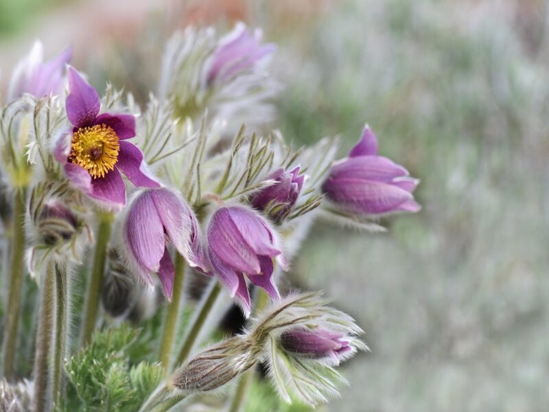 Гороскоп для всіх знаків зодіаку на вихідні 28 лютого &ndash; 1 березня 2026 року