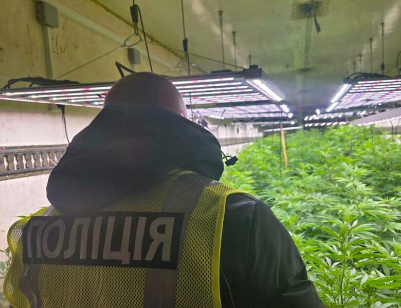 На Черкащині викрили промислову наркоплантацію з сонячними панелями