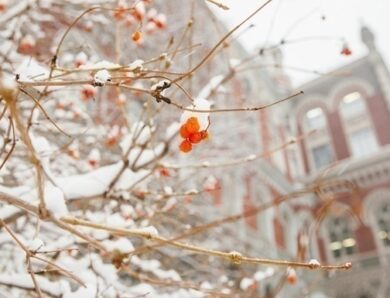 НБУ учетверте поспіль зменшив продаж доларів