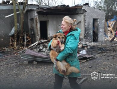 Росіяни вдарили по собачому притулку у Запоріжжі