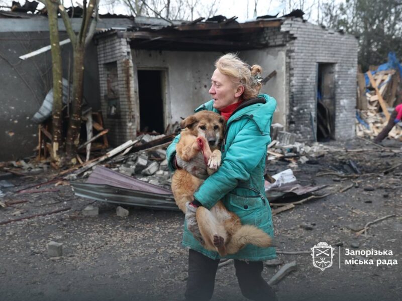 Росіяни вдарили по собачому притулку у Запоріжжі