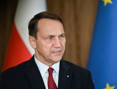 Сікорський озвучив припущення щодо Путіна