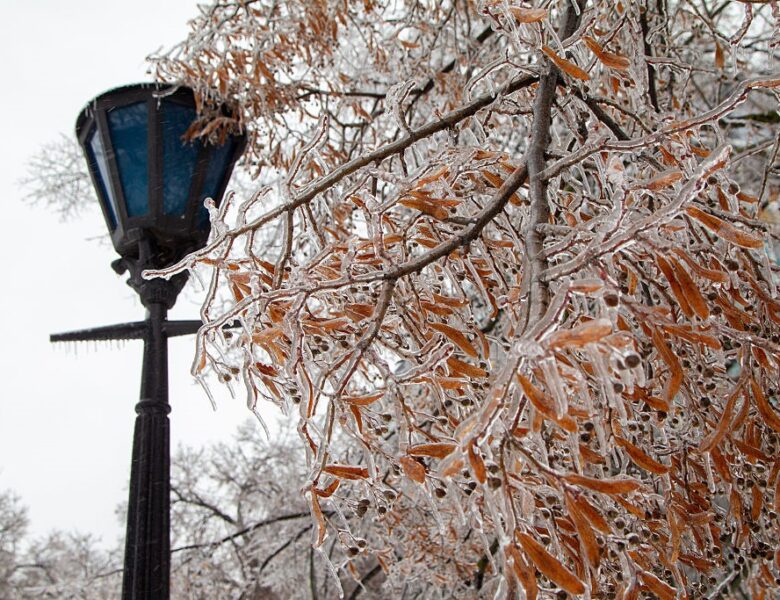 Сильні морози, переважно без опадів: погода на початку лютого