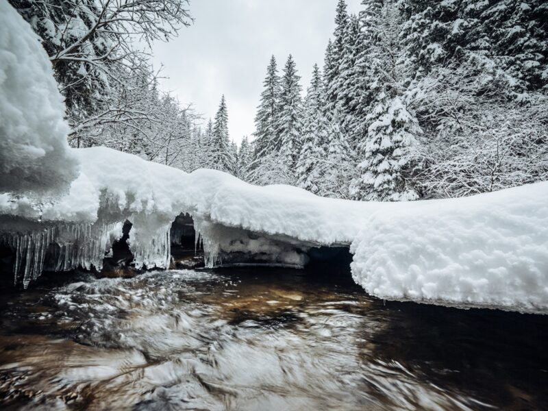 Сніг, дощ й морози: погода на вихідних