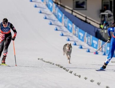 Собака став учасником жіночого кросу на Олімпіаді