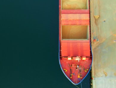 США витісняє українську кукурудзу з ринку ЄС – ЗМІ