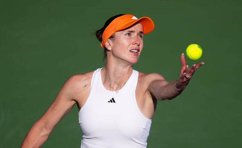 Світоліна в півфіналі турніру в Дубаї