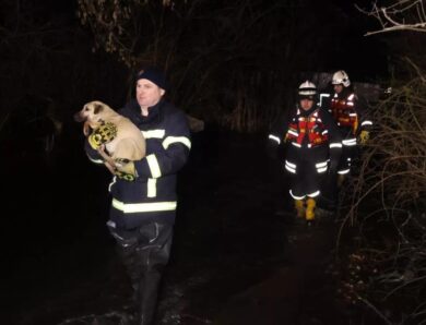 У Кропивницькому через розлив річки затопило притулок для тварин