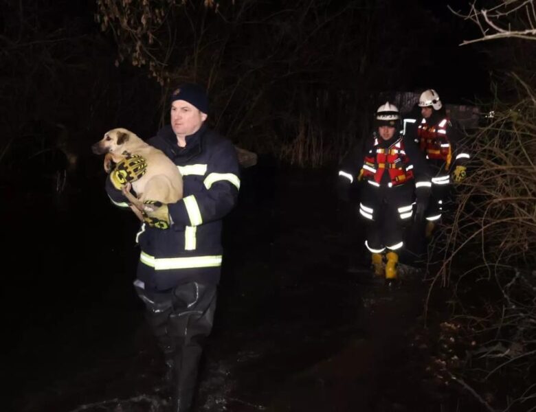 У Кропивницькому через розлив річки затопило притулок для тварин