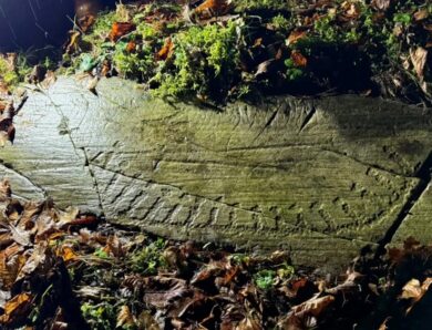 У Норвегії знайшли 3000-річні наскельні різьблення доби бронзи