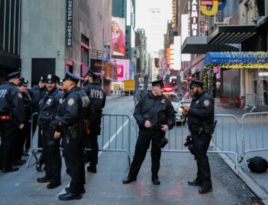 У Нью-Йорку чоловік-модель пограбував бутік на мільйон доларів