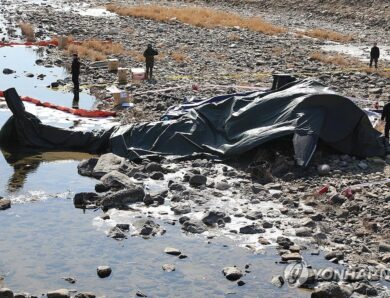 У Південній Кореї розбився військовий вертоліт