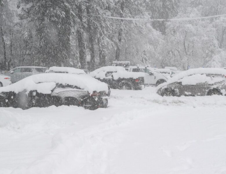 У США лавина накрила групу лижників: багато жертв