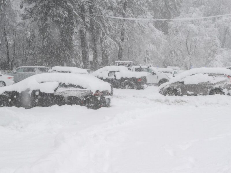 У США лавина накрила групу лижників: багато жертв